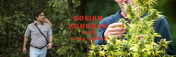 индика Рославль